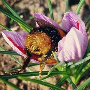 Meet your Posher, Aleida